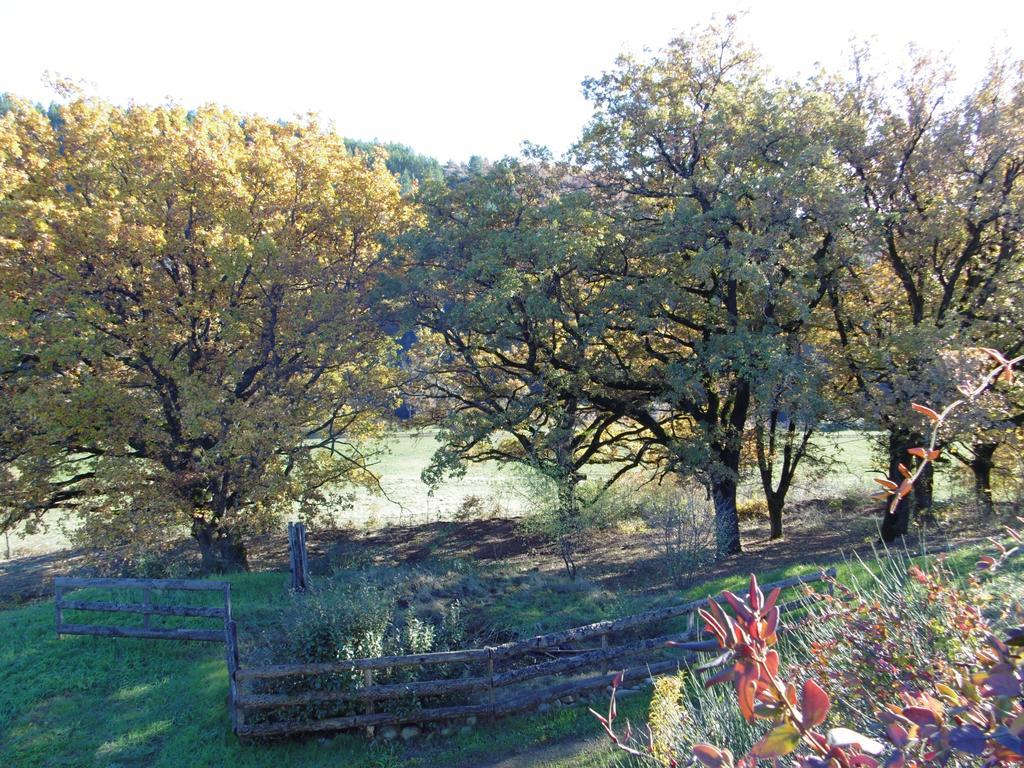 La Ferme De Valauris Bed & Breakfast Sisteron Dış mekan fotoğraf